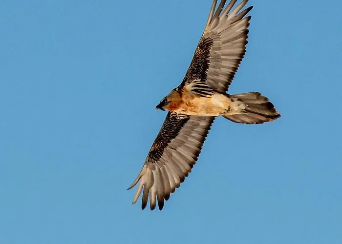Goliath Apartment Leukerbad