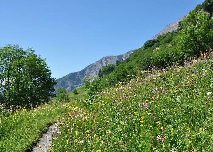 Apartamento Goliath Leukerbad
